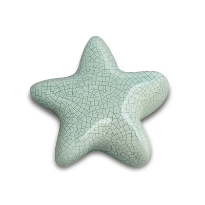 Eternal Stars